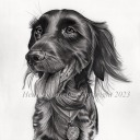 petportraitsbyheatherlovelace avatar