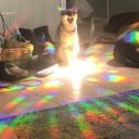 petrichor-lavander avatar