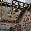 petrichor1103 avatar