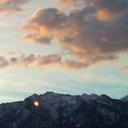 petrichordiak avatar