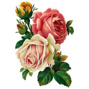 petrichorlouder avatar