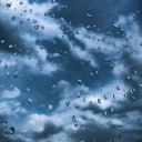 petrichors-forest avatar