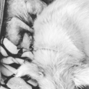 petrichortsundoku avatar