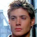 petwinchester avatar