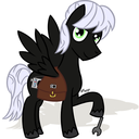 pewnythepony avatar