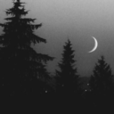 phanomenal-trxyler avatar