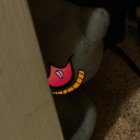 phantom-forces-pkmn avatar