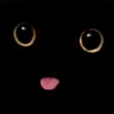 phantomedghost avatar