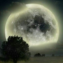 pharaohs-light avatar