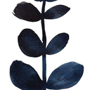 pharmaco-blog avatar