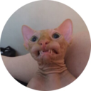 phenomenologyclub avatar