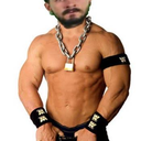 pheonixwolftherebel avatar