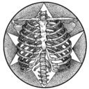 pheremcnecvlt avatar