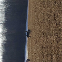 philly69sblog avatar