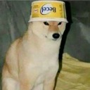 philodendrons-world avatar