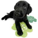 philosophymajor avatar