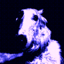 phoeborzoi avatar