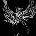 phoenix-in-flame-1202 avatar