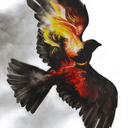 phoenixaugurey avatar