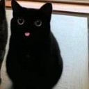 phoenixgrl1412 avatar