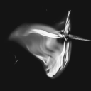 phoenixinthewasteland avatar