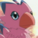 phoenixlord1010 avatar