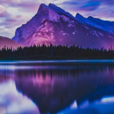 phoenixraven612 avatar