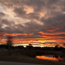 phoenixryder21 avatar