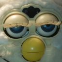 phoenixthefurb avatar