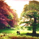 phooeyonyouey avatar