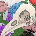 phosphorescentdreaming avatar