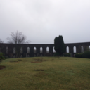 phosphorusroot avatar