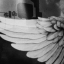 photographsonthebrain avatar