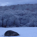 photography-by-paige avatar