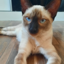 photographyandthings avatar