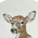 photographyartgallery avatar