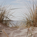 photographybywilma avatar