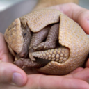 photographyreblogs avatar