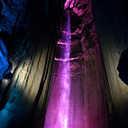 photos-by-a-smol-bean avatar