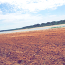 photos-photosphotos avatar