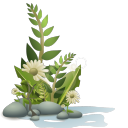 photosynthesis-and-you avatar