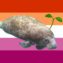 photosynthetic-manatee avatar