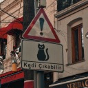 photpgrafsblog avatar