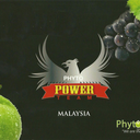 phytoscience456 avatar