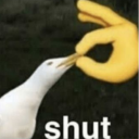 piccadilly-blue avatar