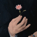 piccolaginestra avatar