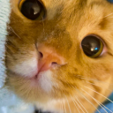 pickle-and-beans avatar