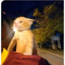 picklebitch69 avatar