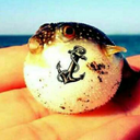 picklemilktime avatar