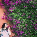 pickles-and-gin avatar